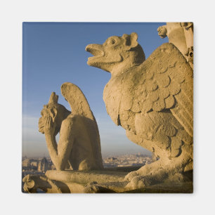 Imã Quimera na fachada da Catedral de Notre Dame,