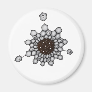 Imã Química Orgânica - Estrelas Espaciais Aromática