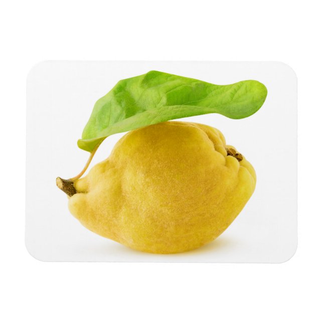 Ímã Quince fruta (Horizontal)
