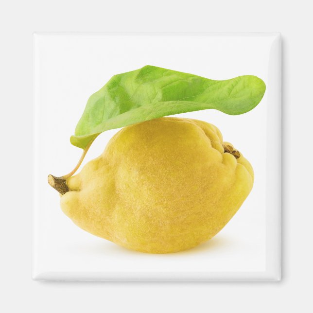 Imã Quince fruta (Frente)