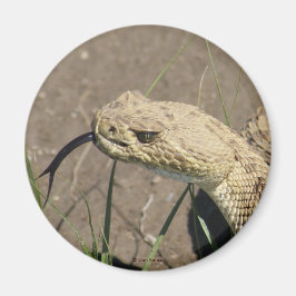 Imã R8 Prairie Rattlesnake Head Shot