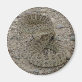 Imã R9 Cascavel Rattlesnake