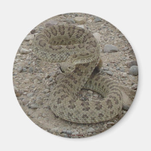 Imã R9 Cascavel Rattlesnake