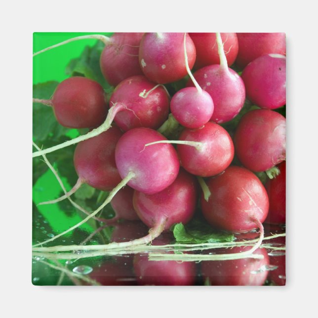 Imã Rabanete (Frente)