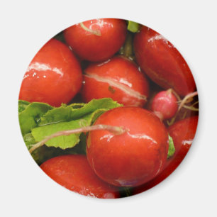 Imã Rabanete vermelho