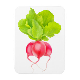 Ímã Rábanos vermelhos