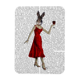Ímã Rabbit em vestido vermelho