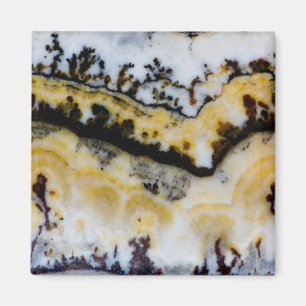 Imã Raça de Prata Onyx