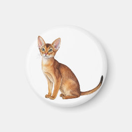 Imã Raças lindas de gatos, incluindo uma Abissínia