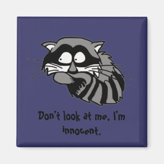 Imã Raccoon