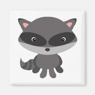 Imã Raccoon