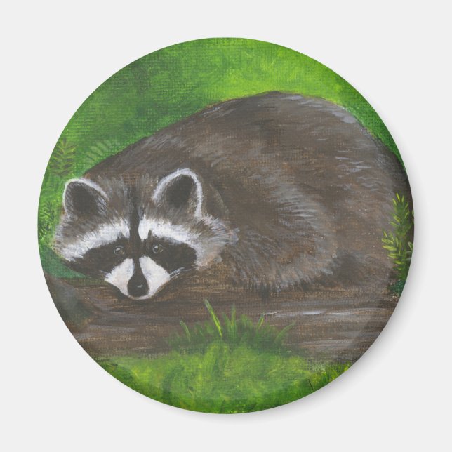 Imã Raccoon (Frente)