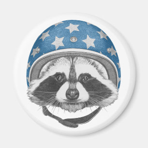 Imã Raccoon Daredevil