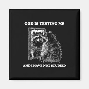 Imã Raccoon Meme Engraçado Dizer Que Deus Está Me Test