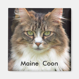 Imã Racum de Maine