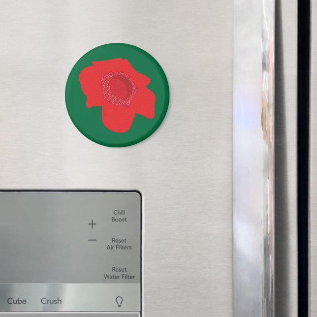Imã Rafflesia (In Situ (Fridge))