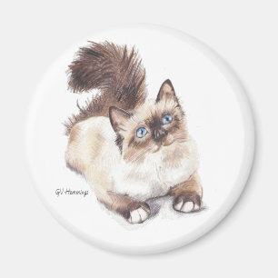 Imã Ragdoll cat por artista GV Hemmings