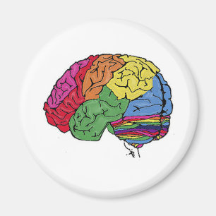 Imã Rainbow Brain