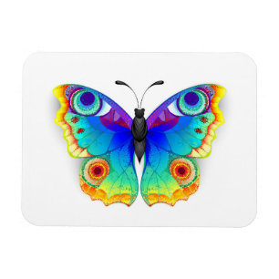 Ímã Rainbow Butterfly Peacock Eye