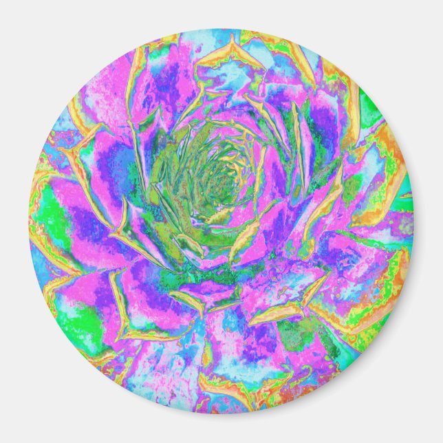 Imã Rainbow Colors Fiesta Succulent Sedum Rosette (Frente)