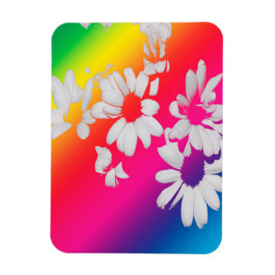 Ímã Rainbow daisies