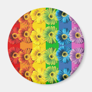 Imã Rainbow Daisies