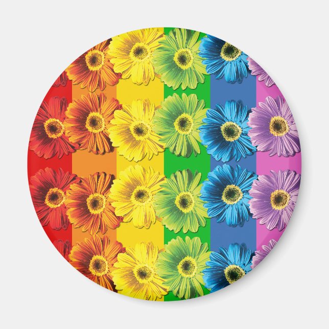 Imã Rainbow Daisies (Frente)