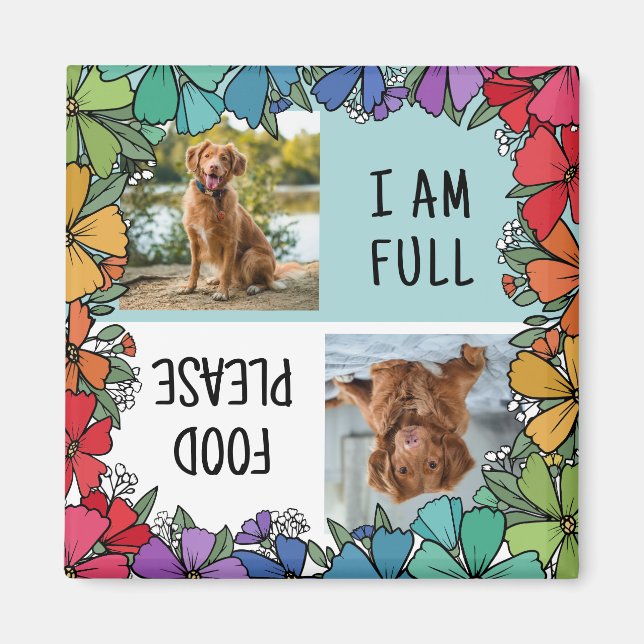 Imã Rainbow Floral Frame Dog Foto Fed (Frente)