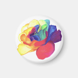 Imã Rainbow Rosa Spectrum of Love