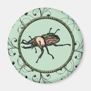 Imã Rainbow Stag Beetle