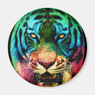 Imã Rainbow Tiger