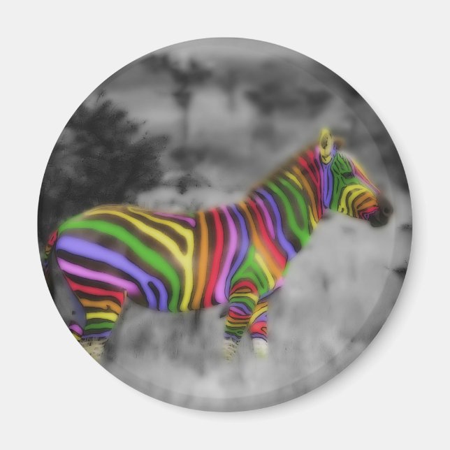 Imã Rainbow Zebra (Frente)