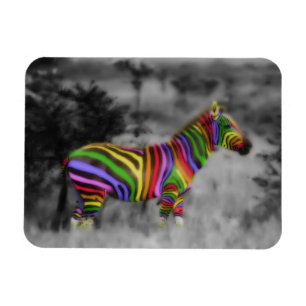 Ímã Rainbow Zebra