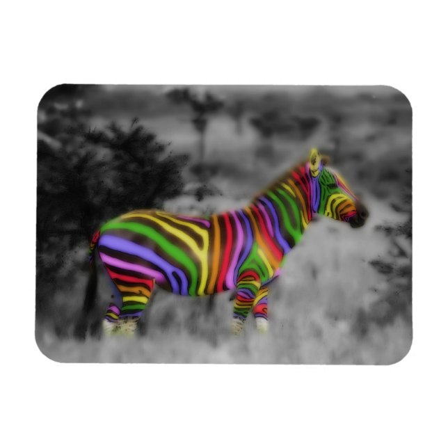 Ímã Rainbow Zebra (Horizontal)