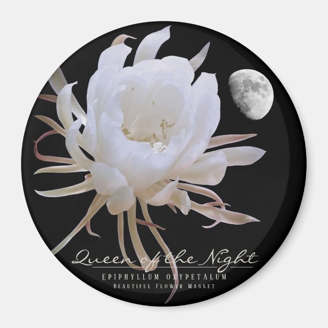 Imã Rainha da Noite マ グ ネ ト (Frente)