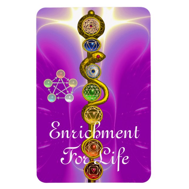 ÍMÃ RAIO DE ASCLEPIUS 7 CHAKRAS,YOGA, ENERGIA ESPIRITU (Vertical)