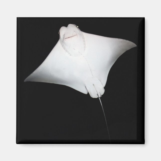 Imã Raio Sorrindo (Frente)