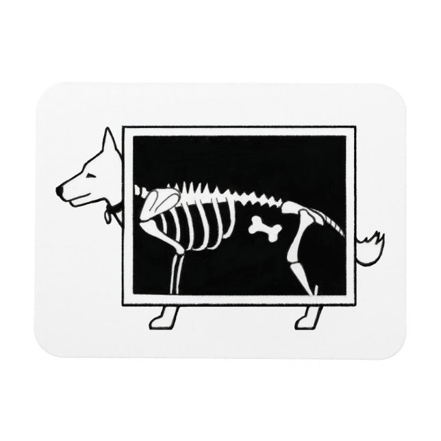 Ímã Raio-X do cão (Horizontal)