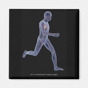 Imã Raio X do sistema vascular em um homem running
