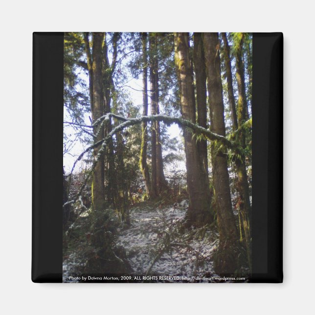 Imã Raios Sol Florestais na Neve #32 (Frente)