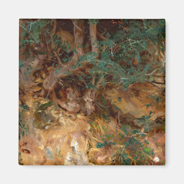 Imã Raízes de oliveiras selvagens, 1908, por John Sing (Frente)