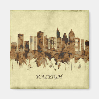 Imã Raleigh North Carolina Cityscape