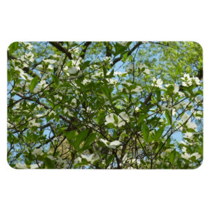 Ímã Ramais de Primavera de Lagostas