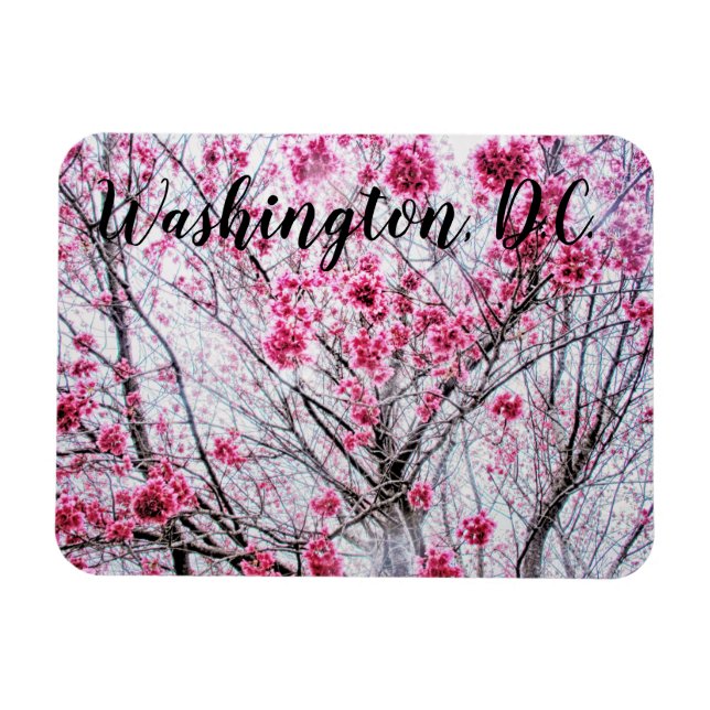 Ímã Ramais e Blooms de uma Árvore Cerejeira (Horizontal)