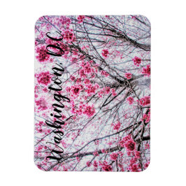 Ímã Ramais e Blooms de uma Árvore Cerejeira