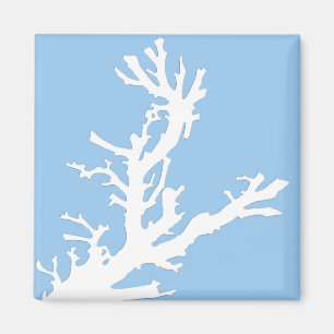 Imã Ramal de coral - branco em azul pálido