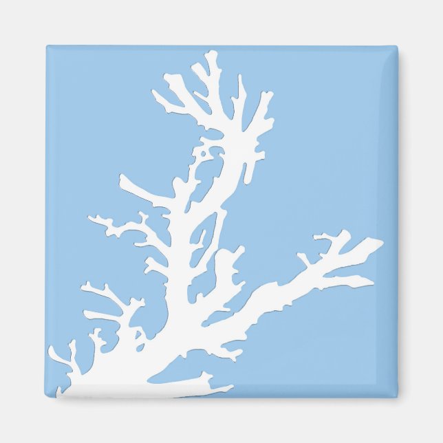 Imã Ramal de coral - branco em azul pálido (Frente)