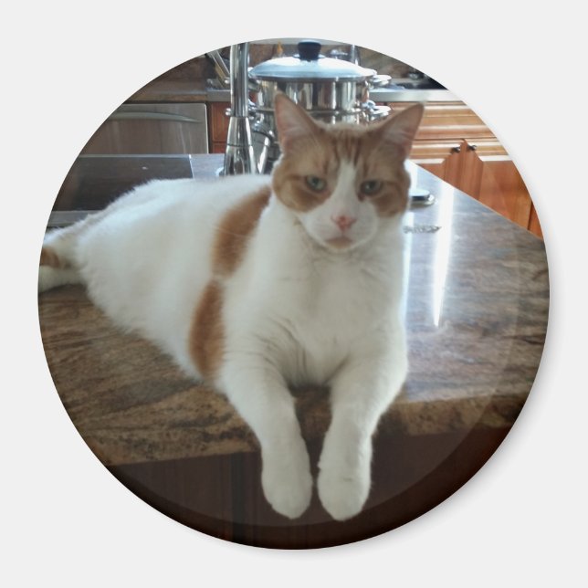 Imã Rambo - Gatinho laranja (Frente)