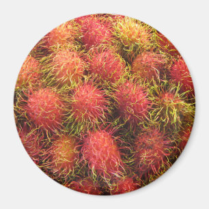 Imã Rambutan Tropical Fruta
