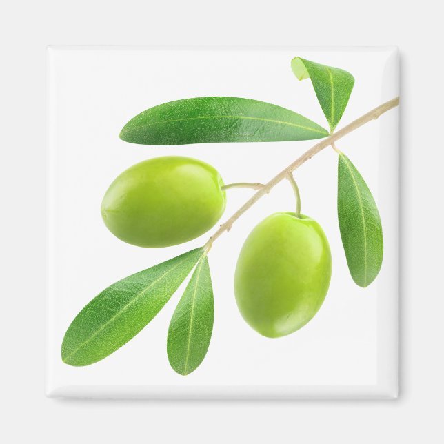 Imã Ramificação com azeitona verde (Frente)